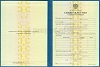 Стоимость Свидетельства о Повышении Квалификации 1997-2018 г. в Татарске (Новосибирской Области)