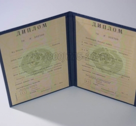 Диплом о Высшем Образовании Туркменской ССР в Новосибирске