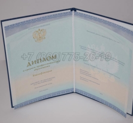 Диплом Колледжа 2024г СпецБланк в Новосибирске